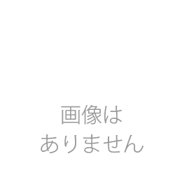 リンレイ:12インチ・シャンピング用ナイロンブラシ